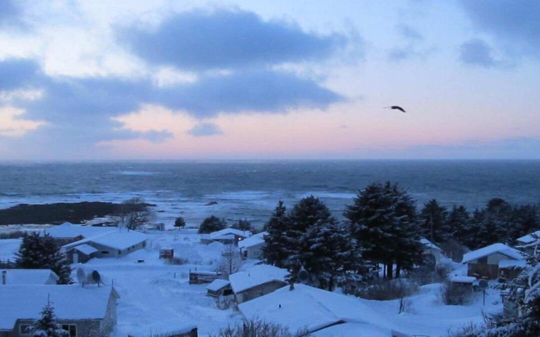 CRRC 2020 Q3 Newsletter