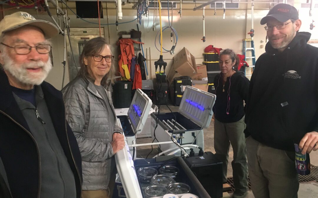 CRRC 2019 Q3 Newsletter