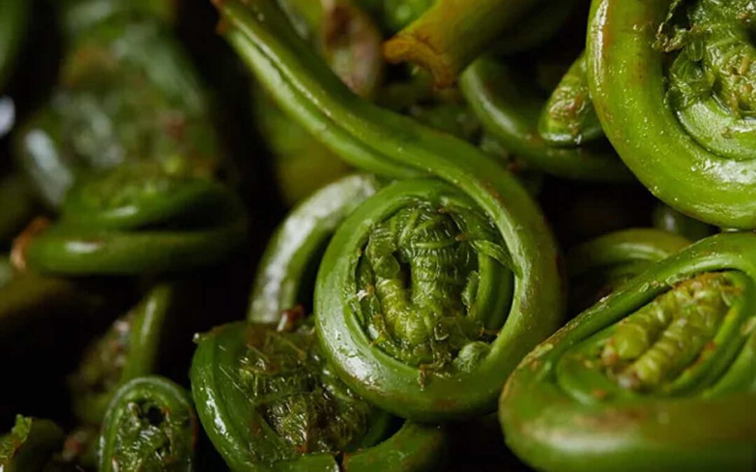 CRRC June 2021 Newsletter