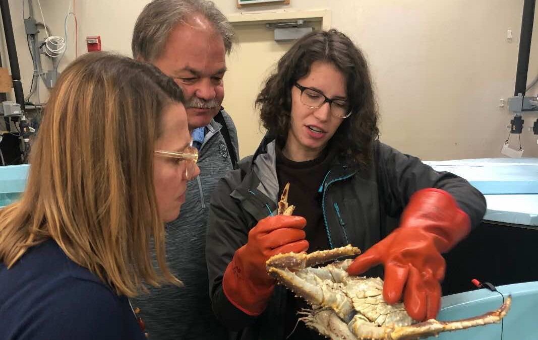 CRRC 2019 Q4 Newsletter