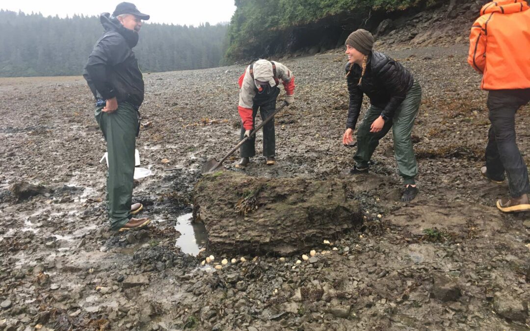 CRRC 2018 Q4 Newsletter