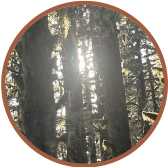 Iqsak Land and Forest - Chugach Regional Resources Commission 