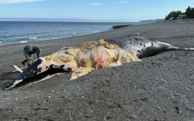 Tribal Fish and Wildlife Monthly Report • August 2025