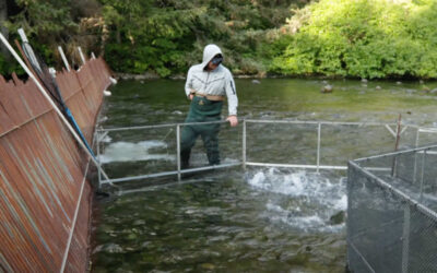 Tribal Fish and Wildlife Monthly Report • October 2025