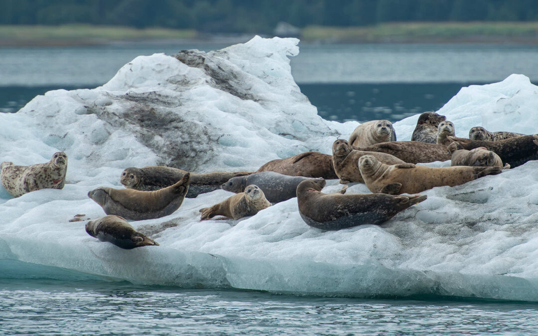 Restoring Tribal Sovereignty in Alaska