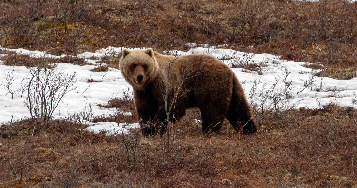 Tribal Fish and Wildlife Monthly Report • April 2026