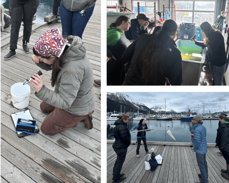 Iqsak Vision - Chugach Regional Resources Commission 
