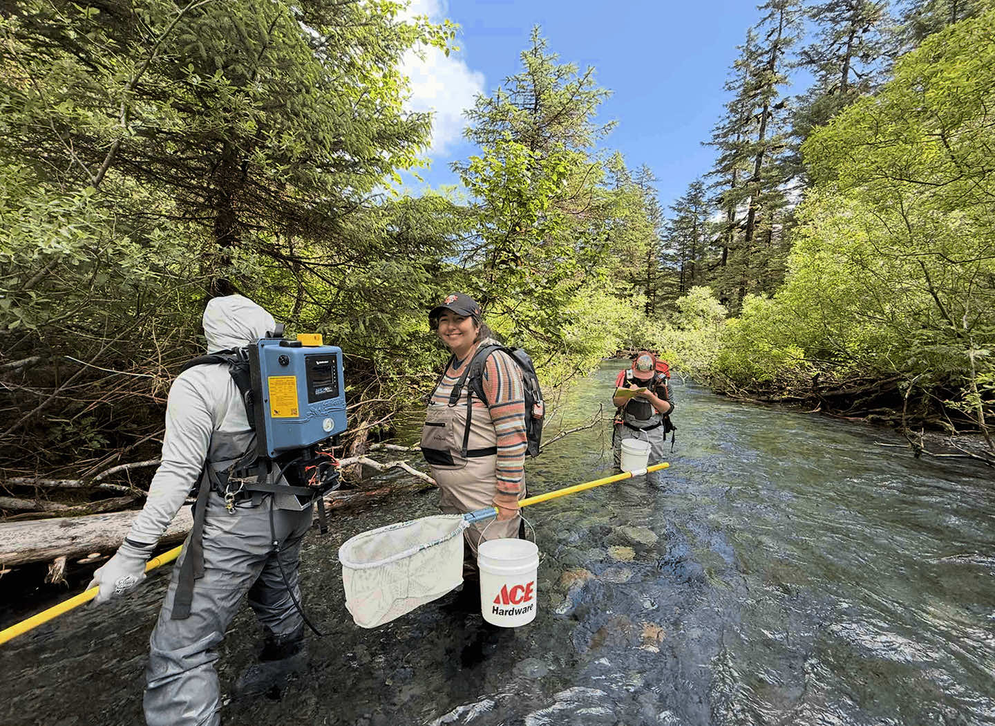 Kenai Fjords Fish Inventory Project electro-fishing remote stream