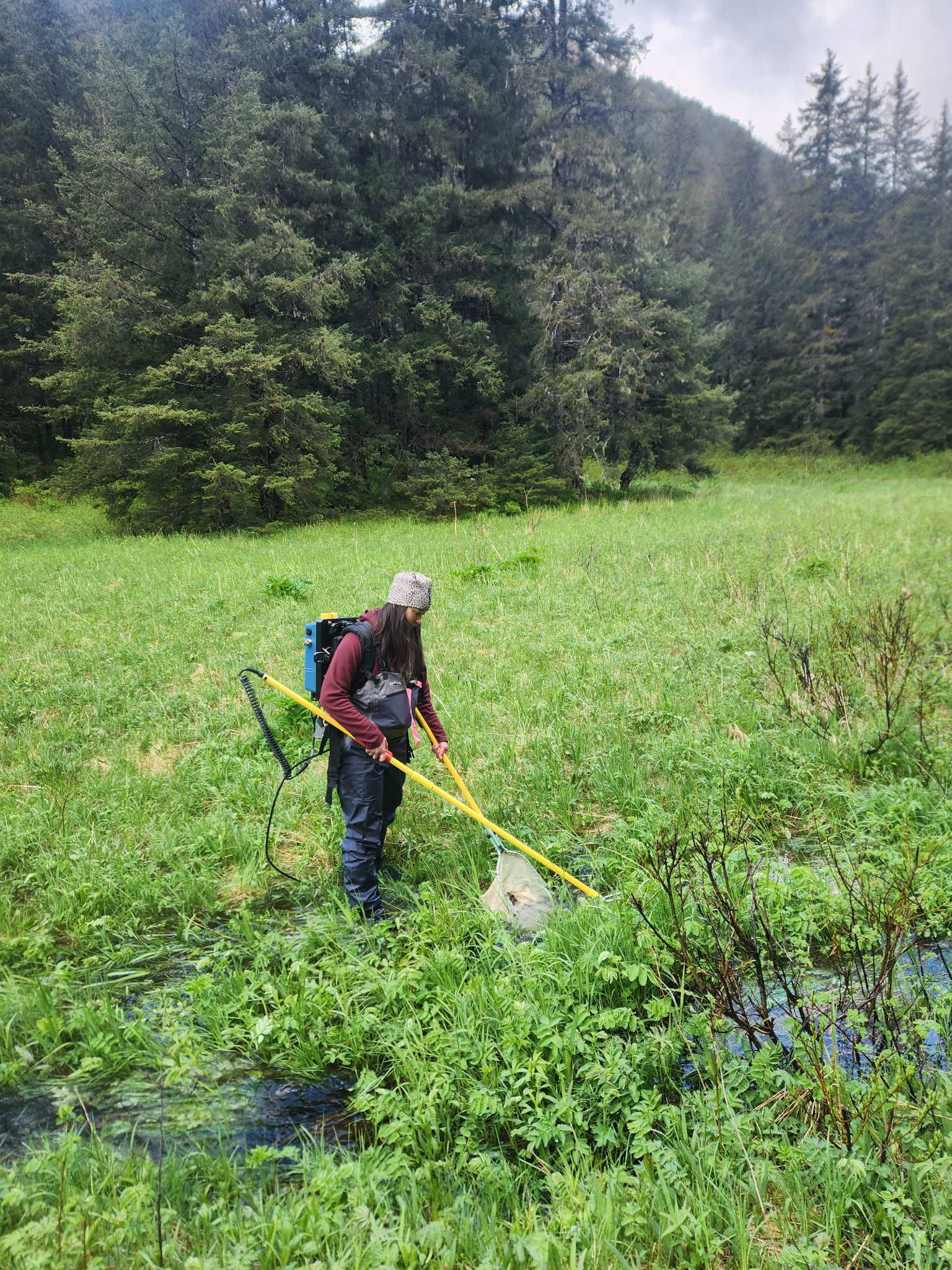 Maddy Lee sampling CRRC